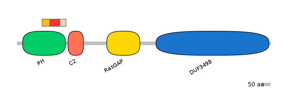 RnoEX0088079-INC