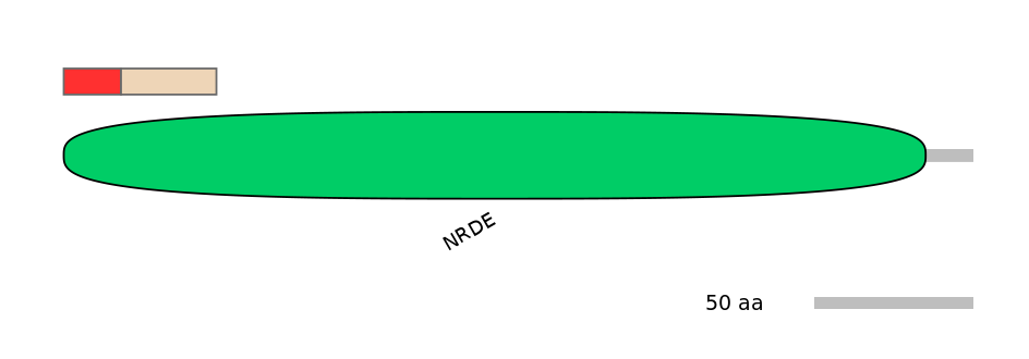 RnoEX0088561-INC