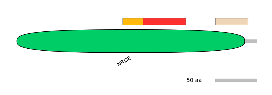 RnoEX0088562-INC