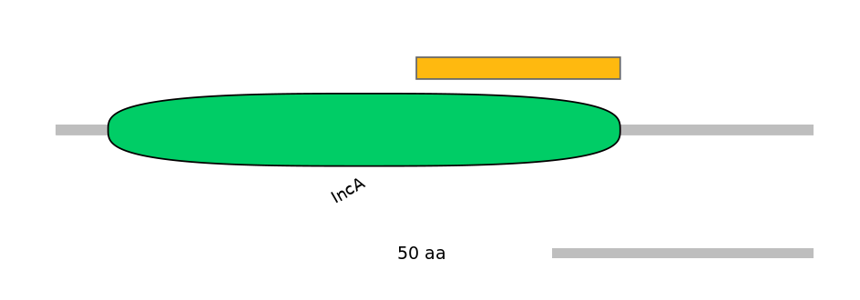 RnoEX0088584-EXC
