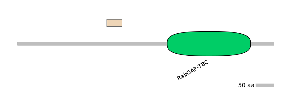RnoEX0088791-EXC