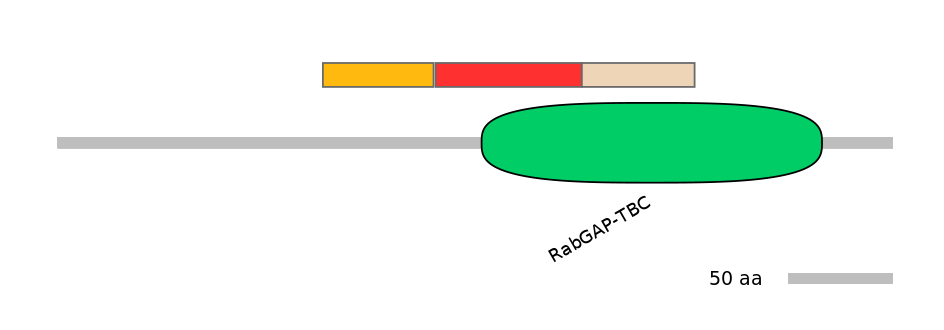 RnoEX0088794-INC