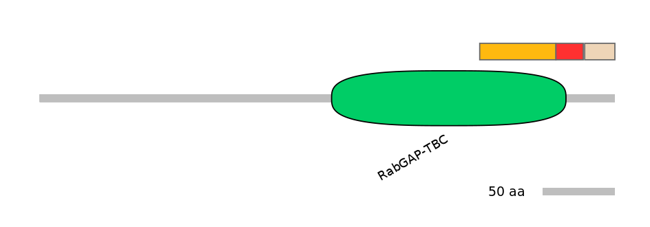 RnoEX0088795-INC