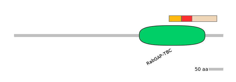 RnoEX0088803-INC