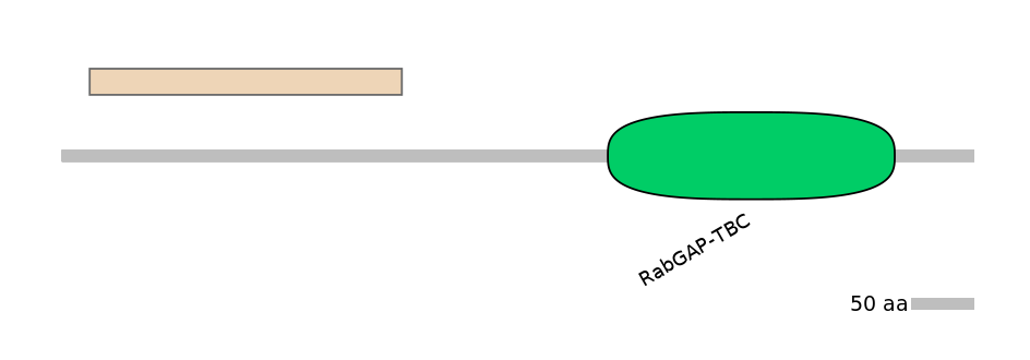 RnoEX0088804-EXC