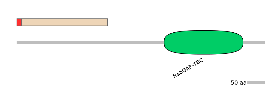 RnoEX0088804-INC