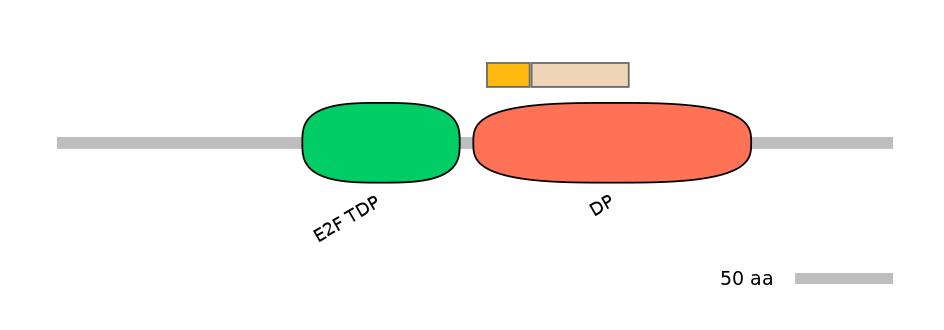 RnoEX0090086-EXC