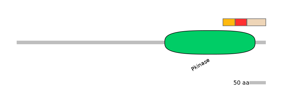 RnoEX0090857-INC