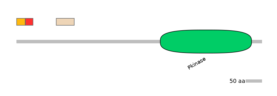RnoEX0090874-INC