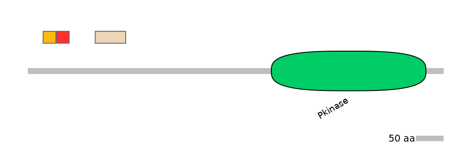 RnoEX0090875-INC