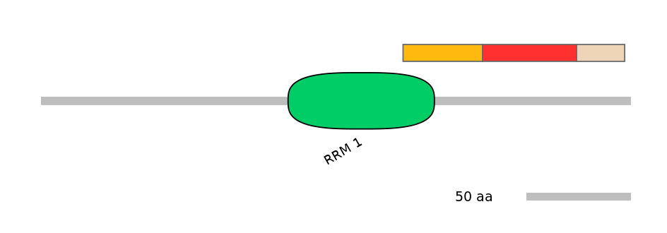 RnoEX0093151-INC