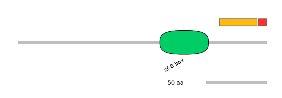 RnoEX0093548-INC