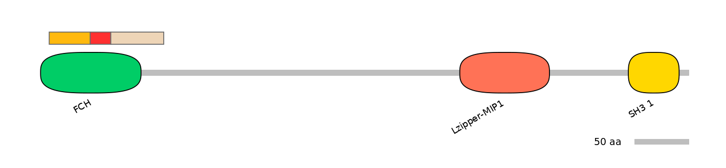 RnoEX0093815-INC