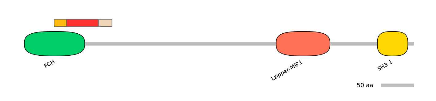 RnoEX0093817-INC
