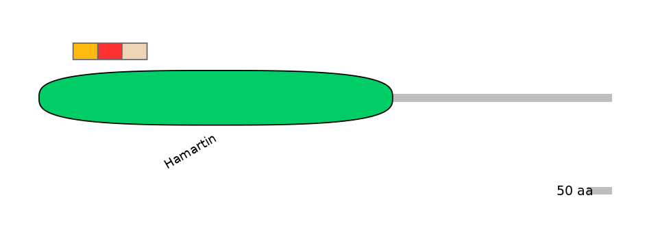 RnoEX0094254-INC