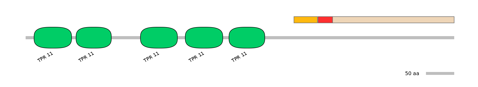 RnoEX0094608-INC