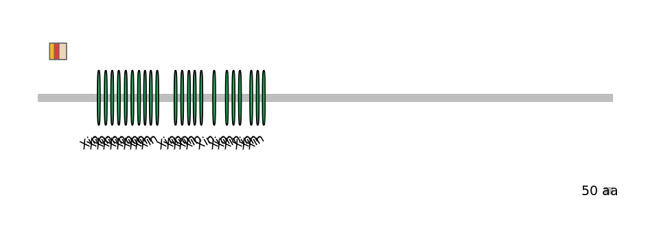 RnoEX0099947-INC