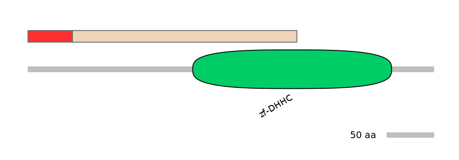 RnoEX0100874-INC