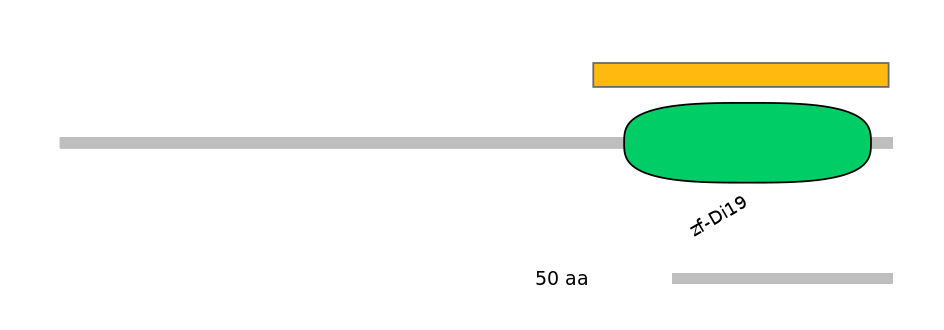 RnoEX0100915-EXC