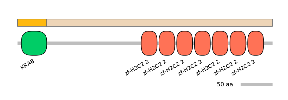 RnoEX0101014-EXC