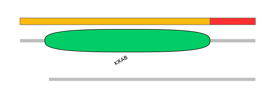 RnoEX0101014-INC