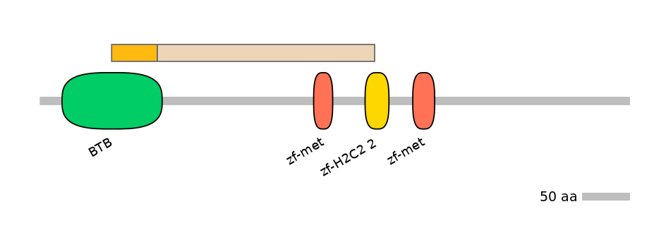 RnoEX0101039-EXC