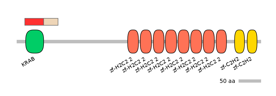 RnoEX0101040-INC