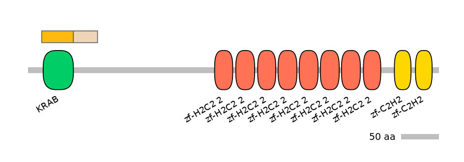 RnoEX0101042-EXC