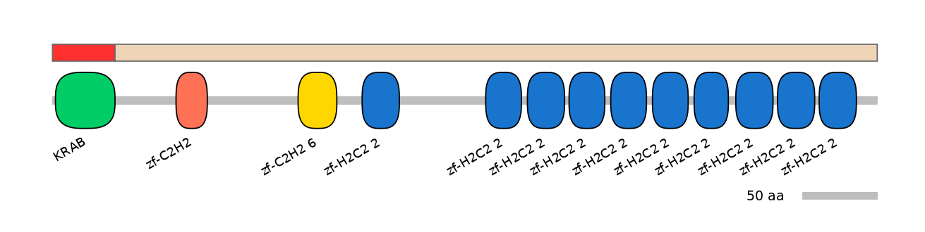 RnoEX0101044-INC