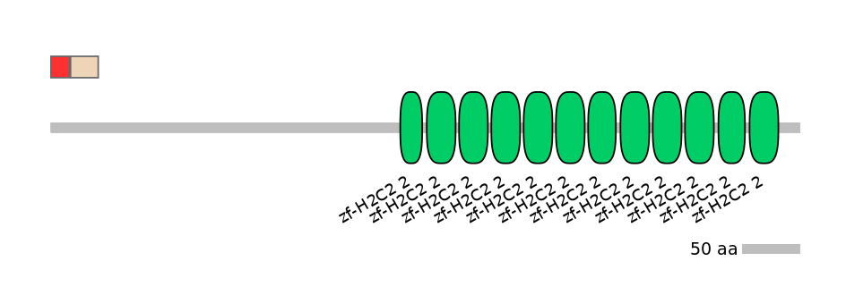 RnoEX0101076-INC