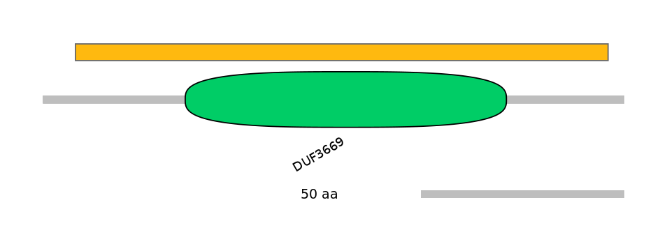 RnoEX0101356-EXC
