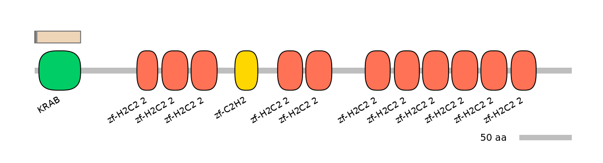 RnoEX0101415-EXC