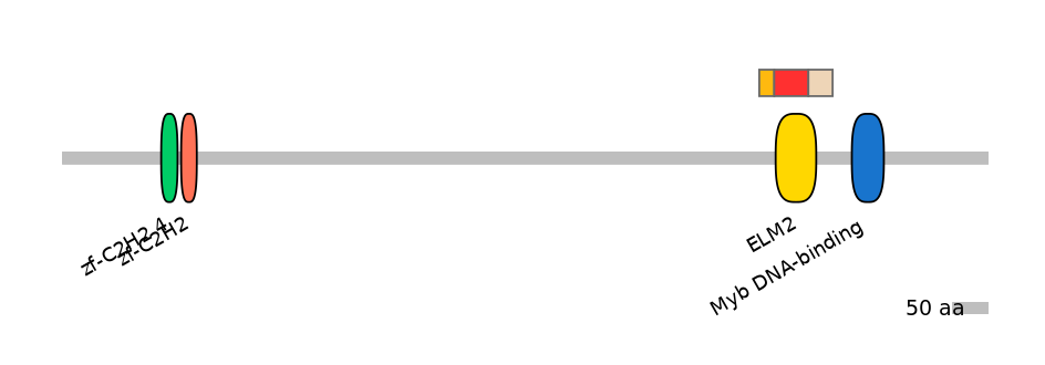 RnoEX0101508-INC