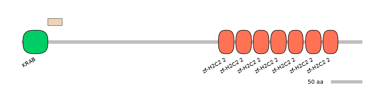 RnoEX0101557-EXC