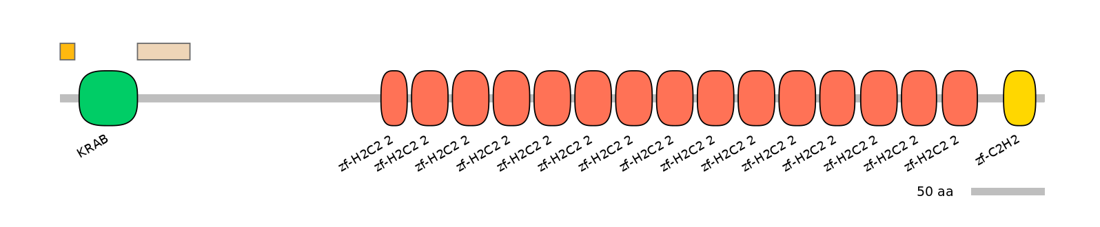 RnoEX0101572-EXC