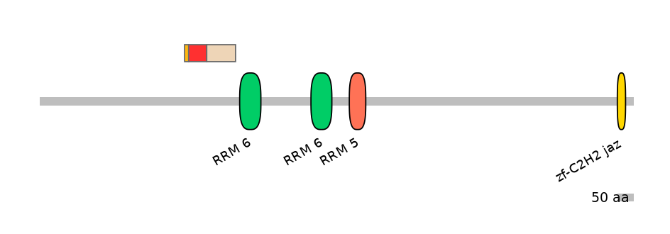 RnoEX0101597-INC