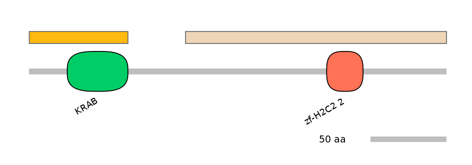 RnoEX0101647-EXC