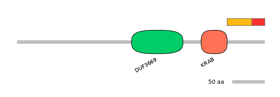 RnoEX0101695-INC
