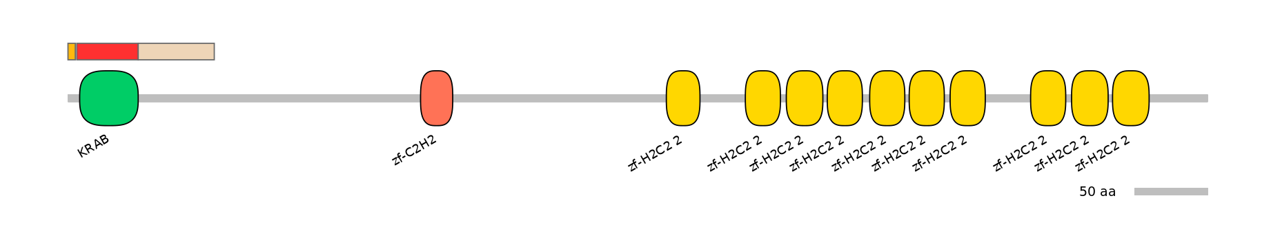 RnoEX0101699-INC