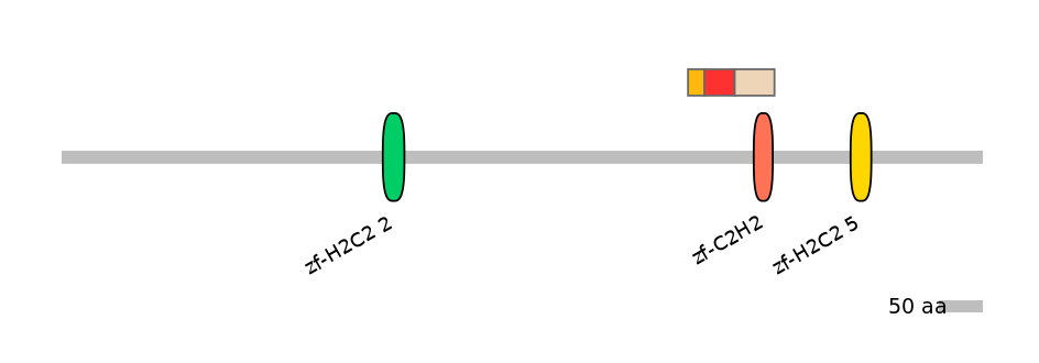 RnoEX0101722-INC