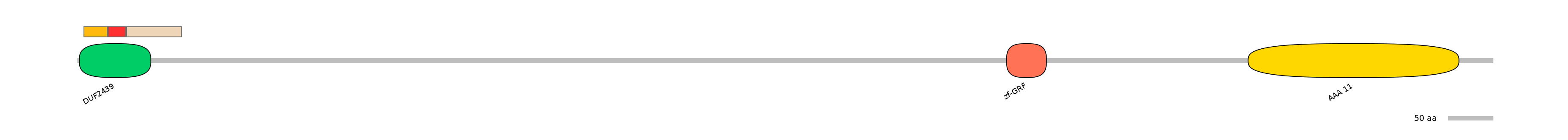RnoEX0101900-INC