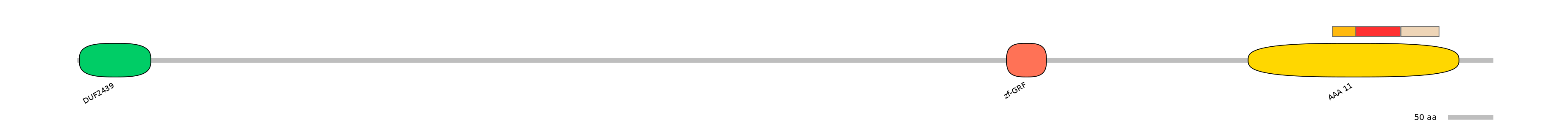 RnoEX0101901-INC