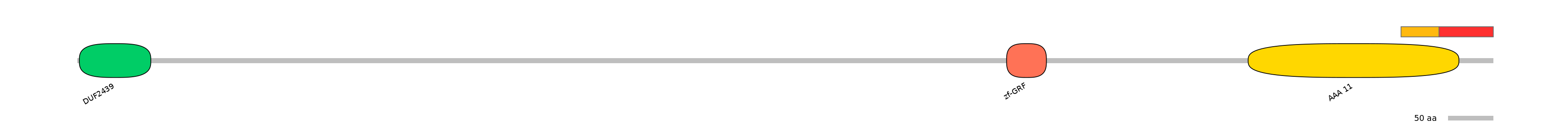 RnoEX0101903-INC