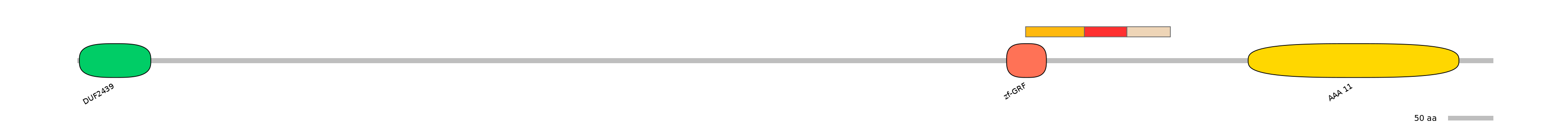RnoEX0101906-INC