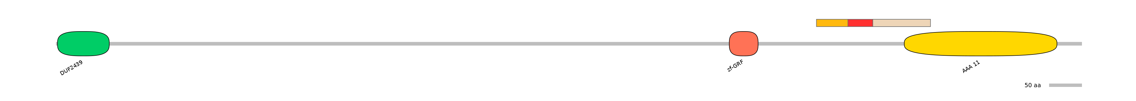 RnoEX0101907-INC