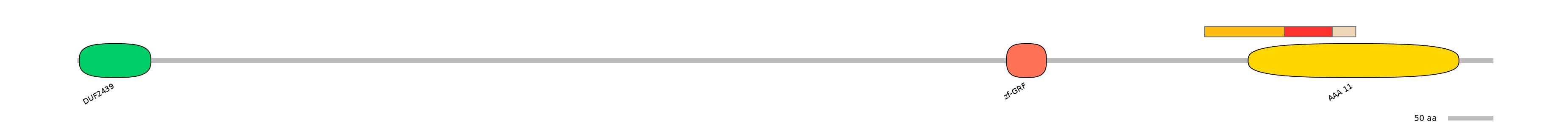 RnoEX0101908-INC