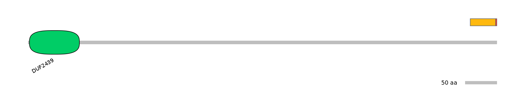 RnoEX0101913-INC