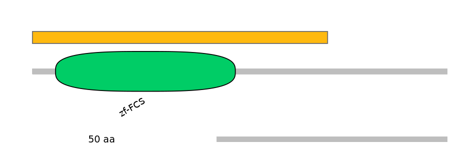 RnoEX0102003-EXC