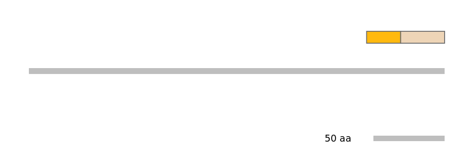 RnoEX0102040-EXC