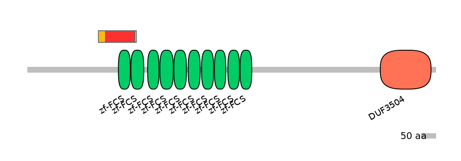 RnoEX0102040-INC